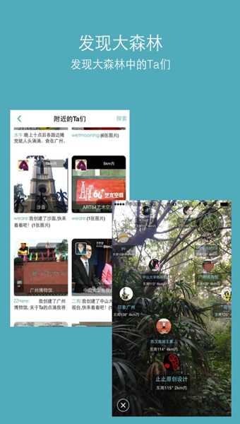 我的森林