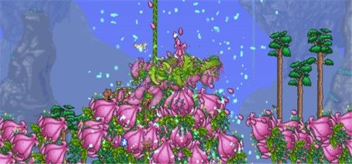 泰拉瑞亚花苞探测器怎么做，泰拉瑞亚世纪之花花苞出现条件
